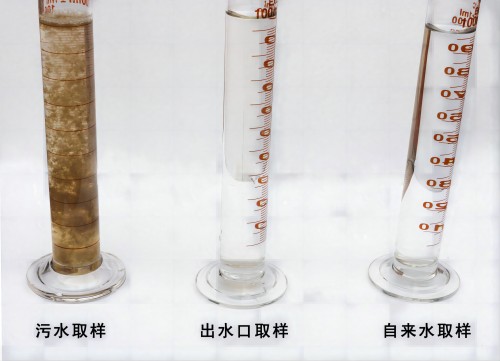 1715215548451942.jpg 55.jpg